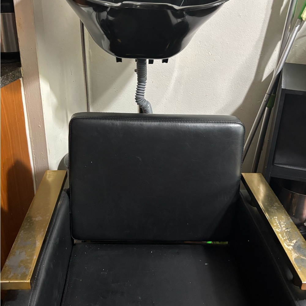 Amazon Essentials Black and Gold Salon Chair